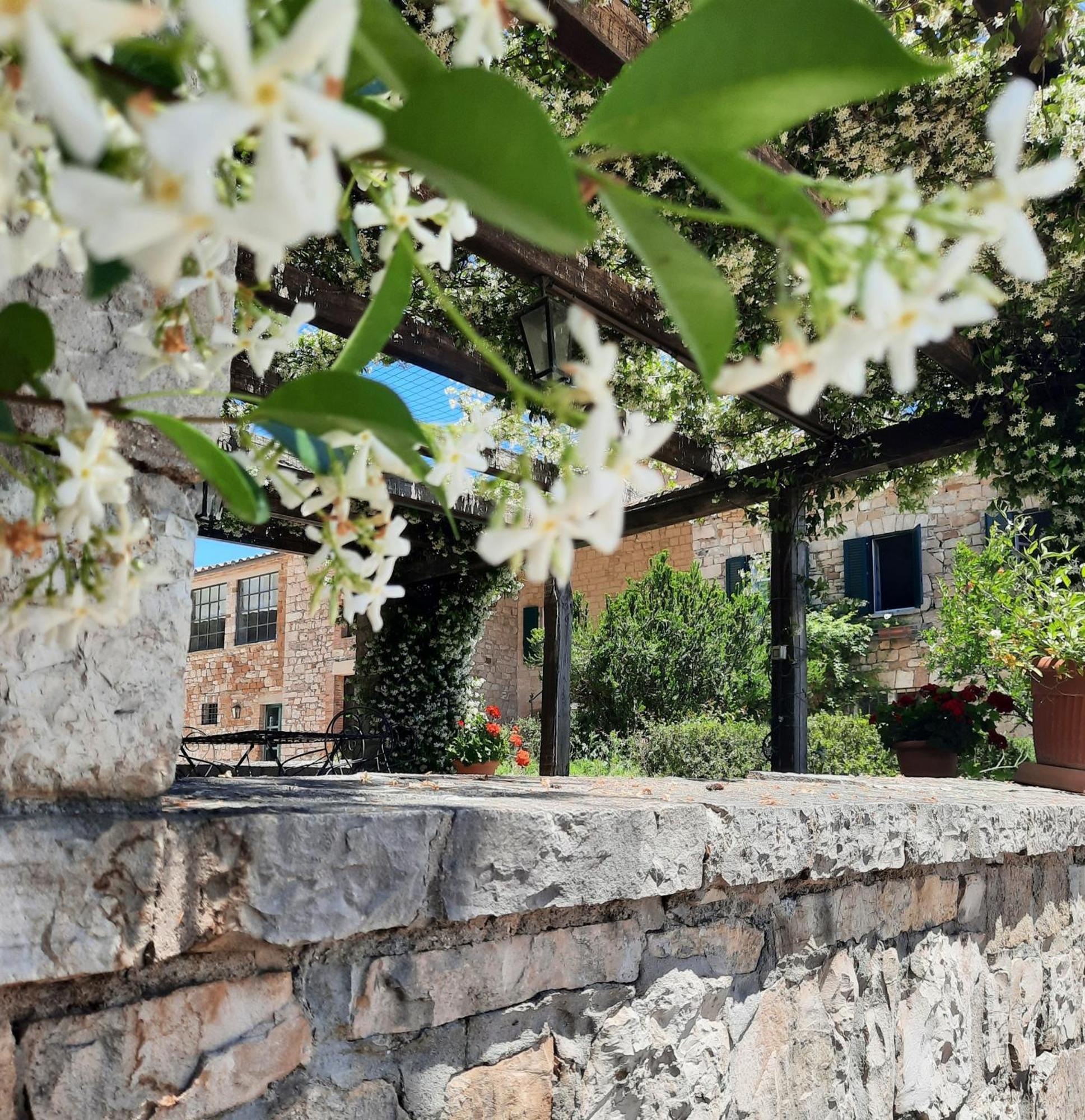 Agriturismo Tenuta Conti Faina Fratta Todina Ngoại thất bức ảnh